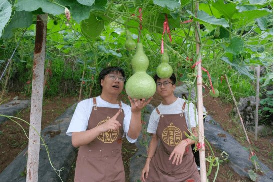 由郦 时间